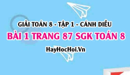 Giải bài 1 trang 87 Toán 8 Tập 1 SGK Cánh Diều